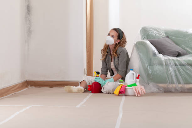 Reliable Mold Remediation contractor in Liberty Lake, WA by 24 Hour Mold Removal